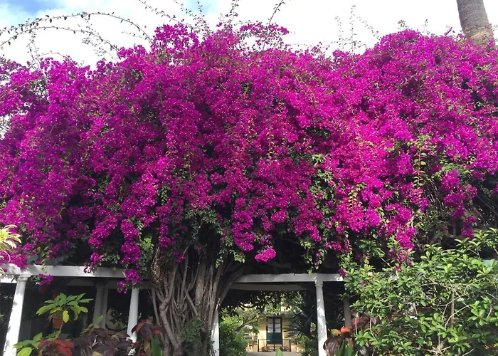 Perla De Roca En Poblado Marinero Апартаменты Акантиладо-де-Лос-Хигантес