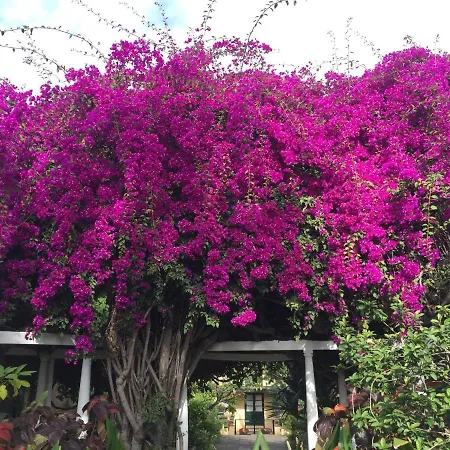 Perla De Roca En Poblado Marinero Appartement Acantilado de los Gigantes