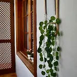 Apartamento Perla De Roca En Poblado Marinero *